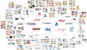 fmcg companies